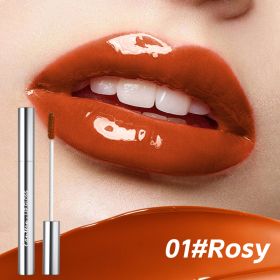 4 Colors Lip Gloss,Hydrating Lip Tint,Long Lasting Waterproof, High Shine Glossy Mirror Lip Stain, Long Lasting Moisturizing,Non Sticky, Romantic Lip (Option: 01 Rosy)