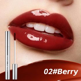 4 Colors Lip Gloss,Hydrating Lip Tint,Long Lasting Waterproof, High Shine Glossy Mirror Lip Stain, Long Lasting Moisturizing,Non Sticky, Romantic Lip (Option: 02 Berry)